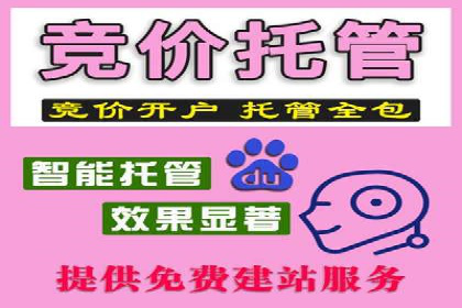 某知名品牌SEM优化托管的策略与成果